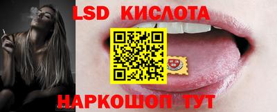 шишки Моздок