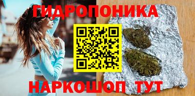 гидра Можайск