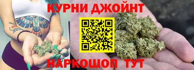 шишки Моздок