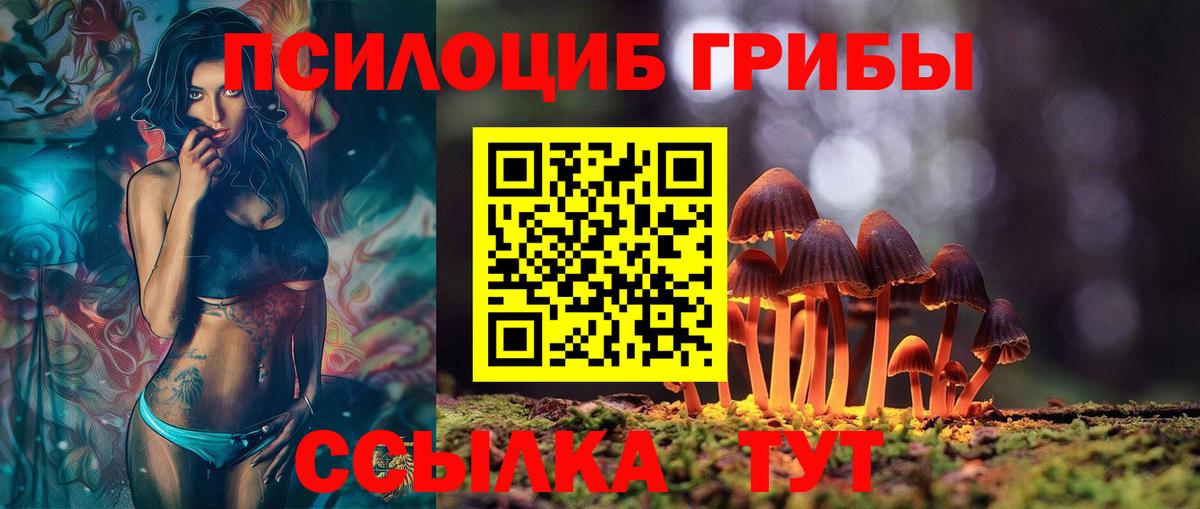 Галлюциногенные грибы GOLDEN TEACHER Чита