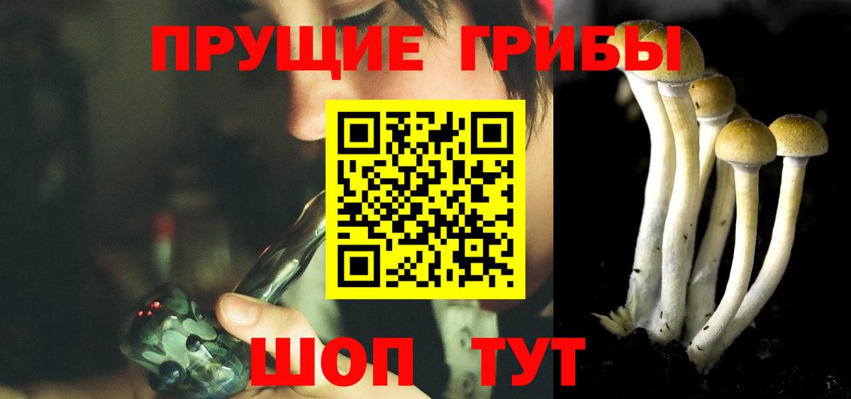 купить наркоту  Вход с VPN  Чита  Псилоцибиновые грибы мухоморы 